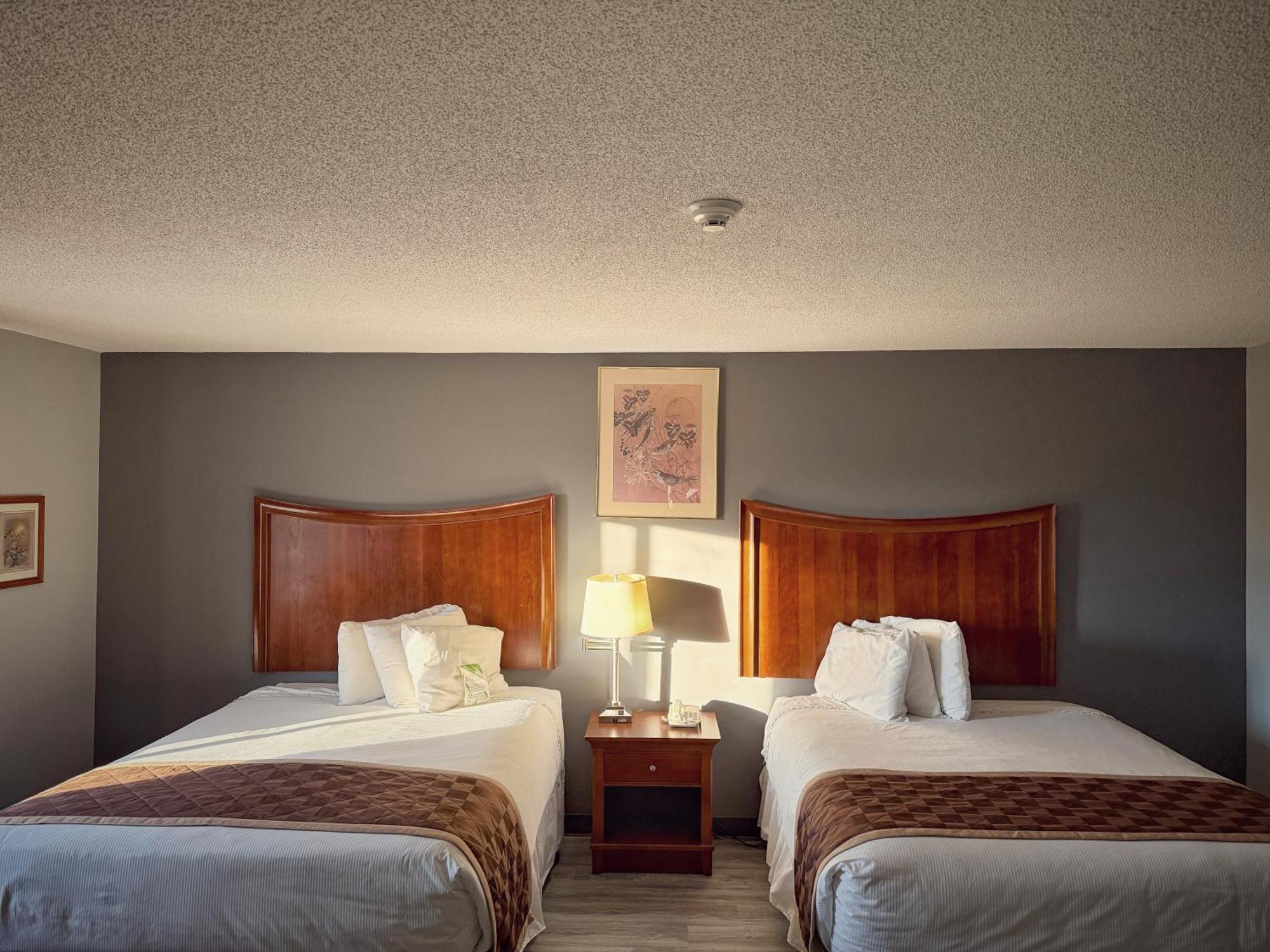 Lake Tree Inn & Suites Маріон Екстер'єр фото